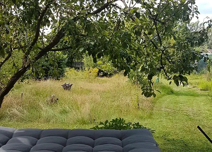 Poziomkowo Mi W Borach Tucholskich