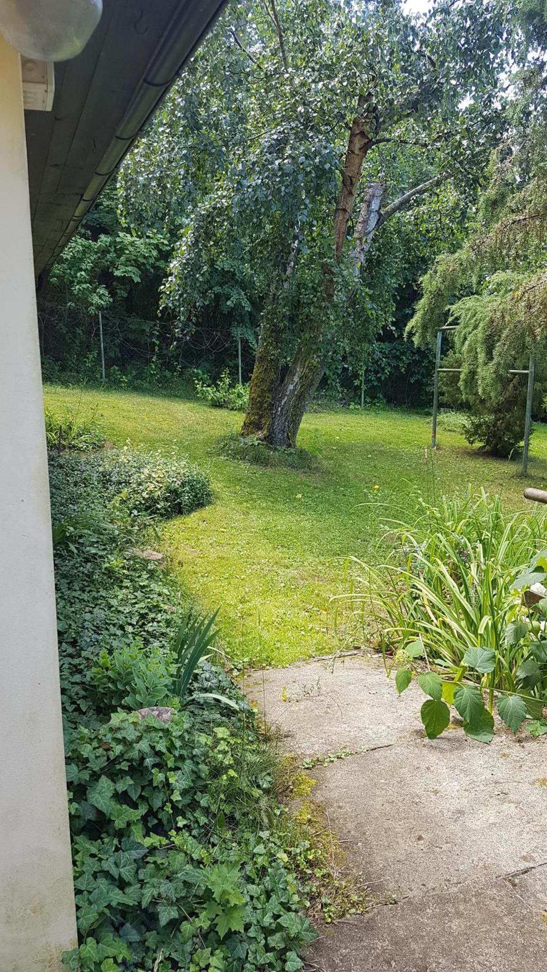 Poziomkowo Mi W Borach Tucholskich * Wycinki